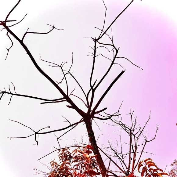 Meet your Posher, Denni - Picture 5 of 13